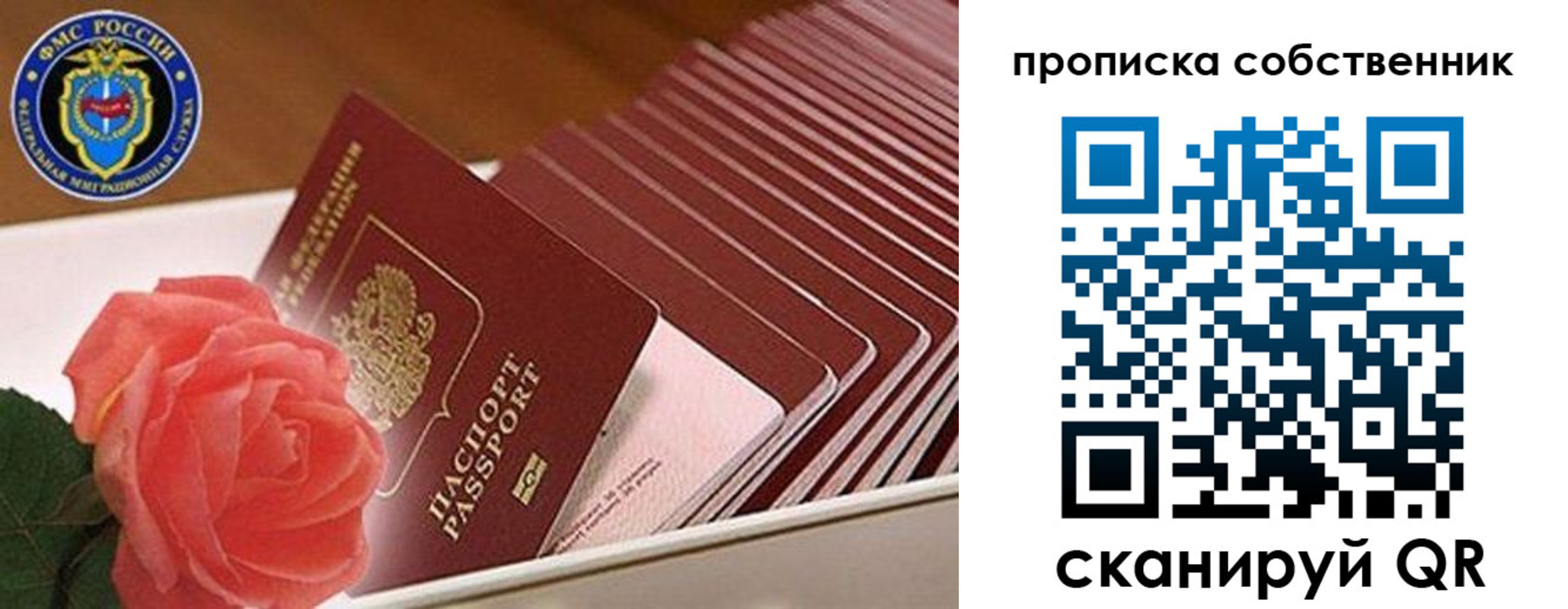 прописка поиск в Мытищах