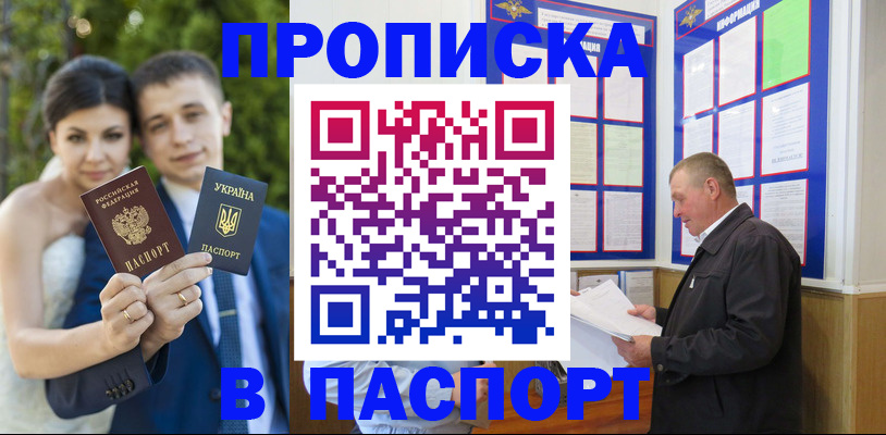 прописка в Мытищах